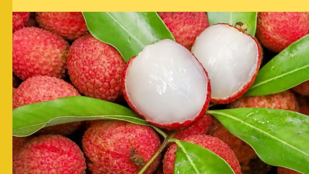 5 Reasons to Consume Lychee in Summer