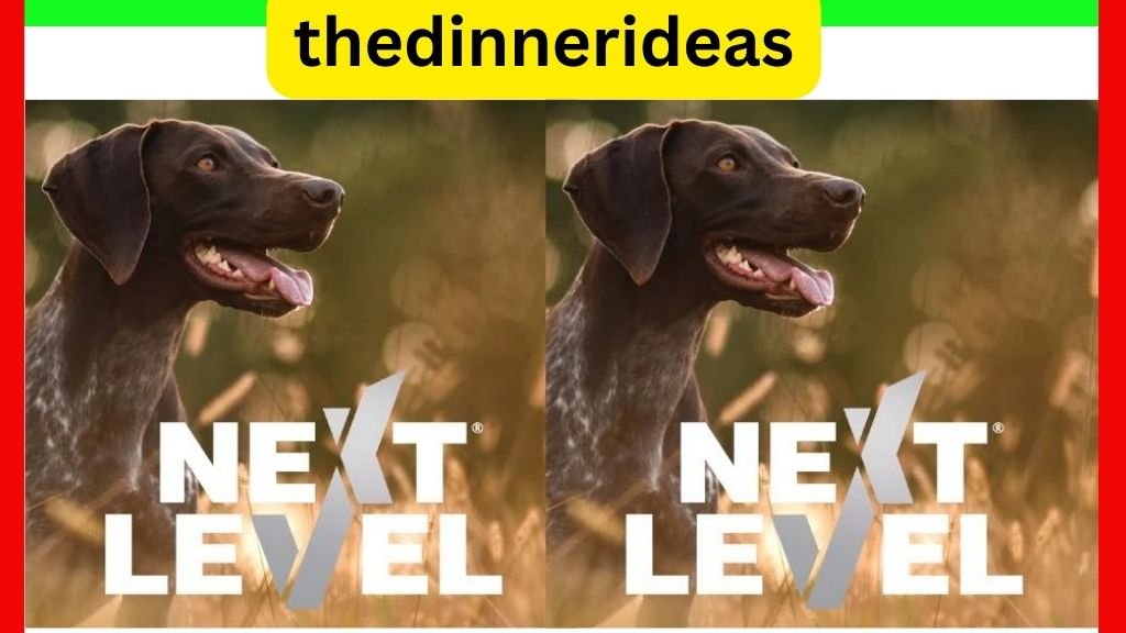 Next Level Dog Food Elevating Your Canine’s Nutrition